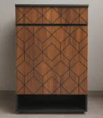 Modern Geometric Shoe Cabinet